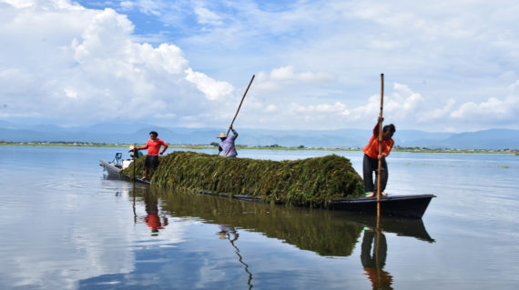 Working Boat of Inle Lake
