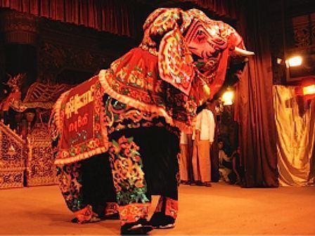 elephant permance