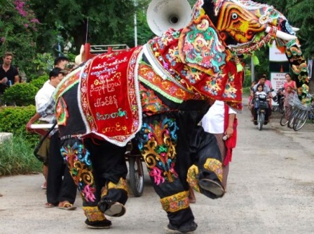 elephant dancing