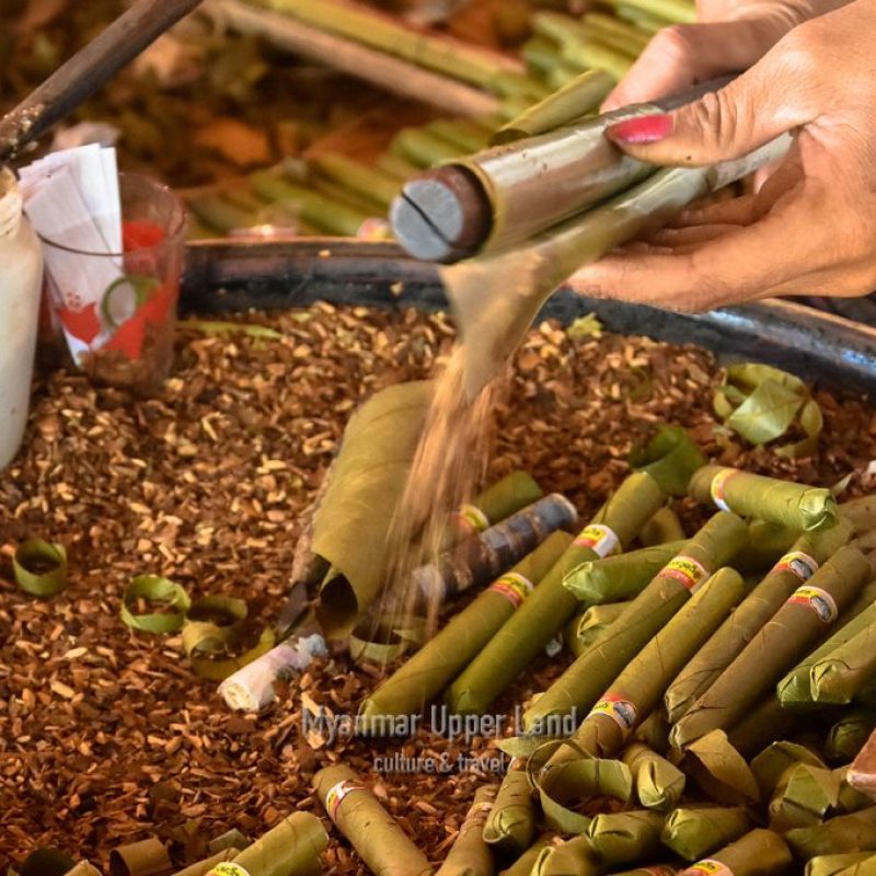 Sheroot Production in Inlay lake, Shan State