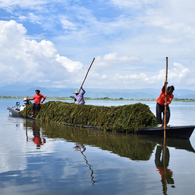 Working Boat of Inle Lake