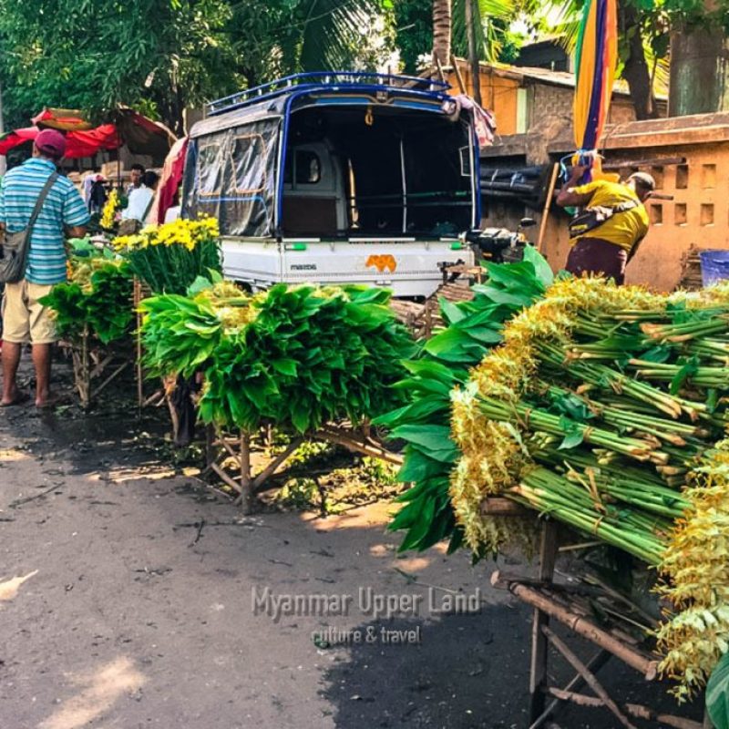 Flower Bazaar